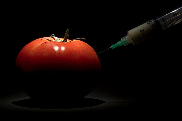 soberania alimentaria transgénicos revista rupturas